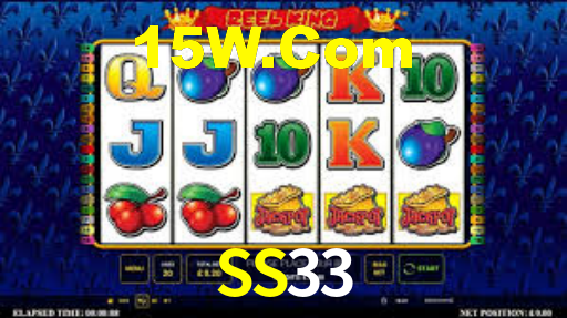 SS33