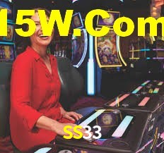 SS33 App Interface