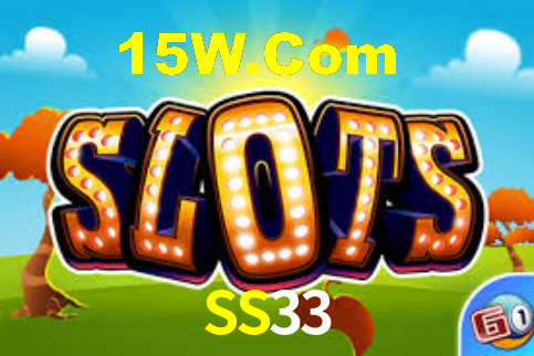 Premium Interface SS33