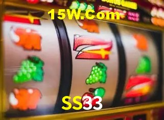 2FA Security SS33