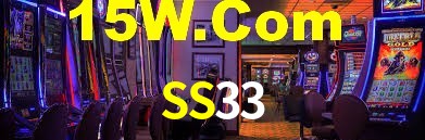 Premium Interface SS33